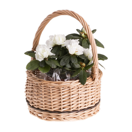 Geschenkkorb aus Weide in Naturfarbe Ø28 H11/27  CM